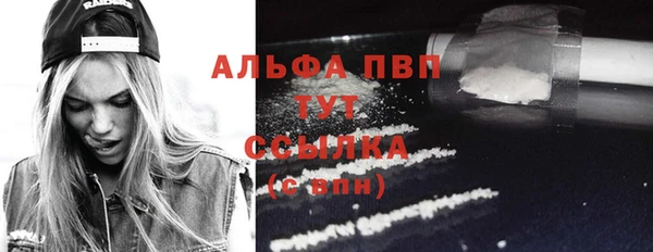 хмурый Гусь-Хрустальный