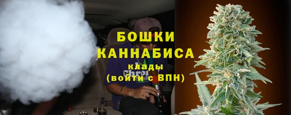 mdpv Гусев