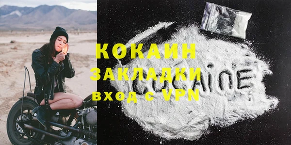 хмурый Гусь-Хрустальный