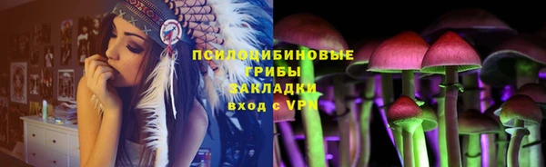 хмурый Гусь-Хрустальный