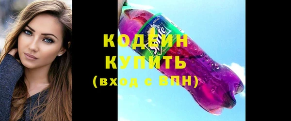хмурый Гусь-Хрустальный