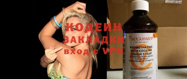 хмурый Гусь-Хрустальный