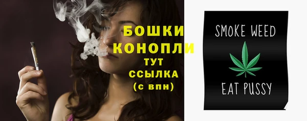 mdpv Гусев