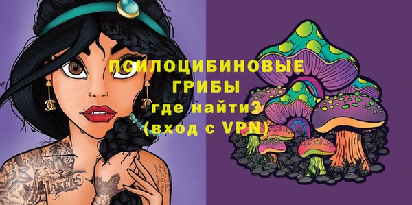 mdpv Гусев