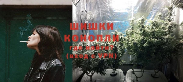 mdpv Гусев