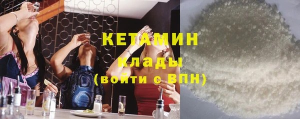 хмурый Гусь-Хрустальный