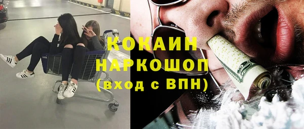 хмурый Гусь-Хрустальный