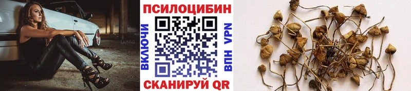 Галлюциногенные грибы GOLDEN TEACHER Тихвин